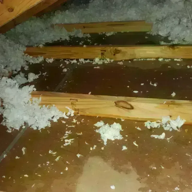 Attic Water Damage in Prairie County, MT