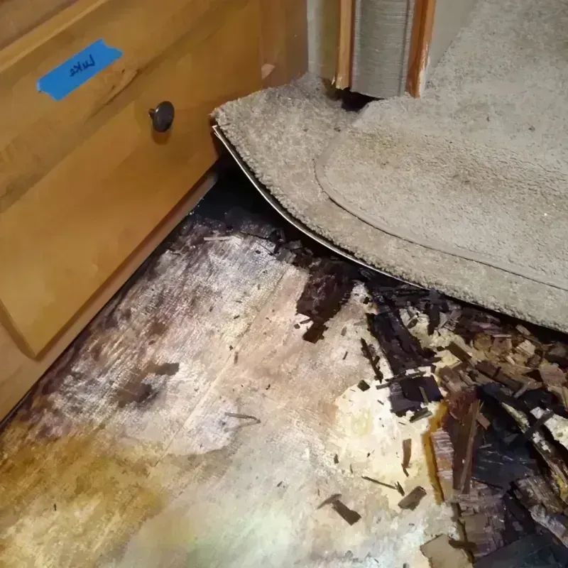 Wood Floor Water Damage in Prairie County, MT